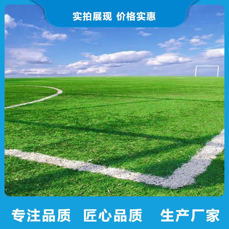 门球场人造草坪以诚为本欢迎咨询