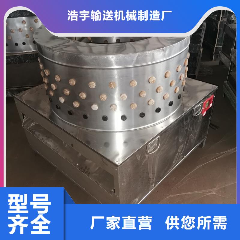 款的全自动鸡鸭脱毛机多重优惠厂家