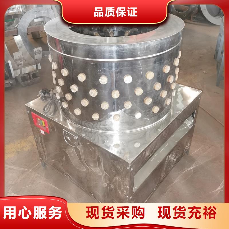 大型狗脱毛机生产厂家厂家