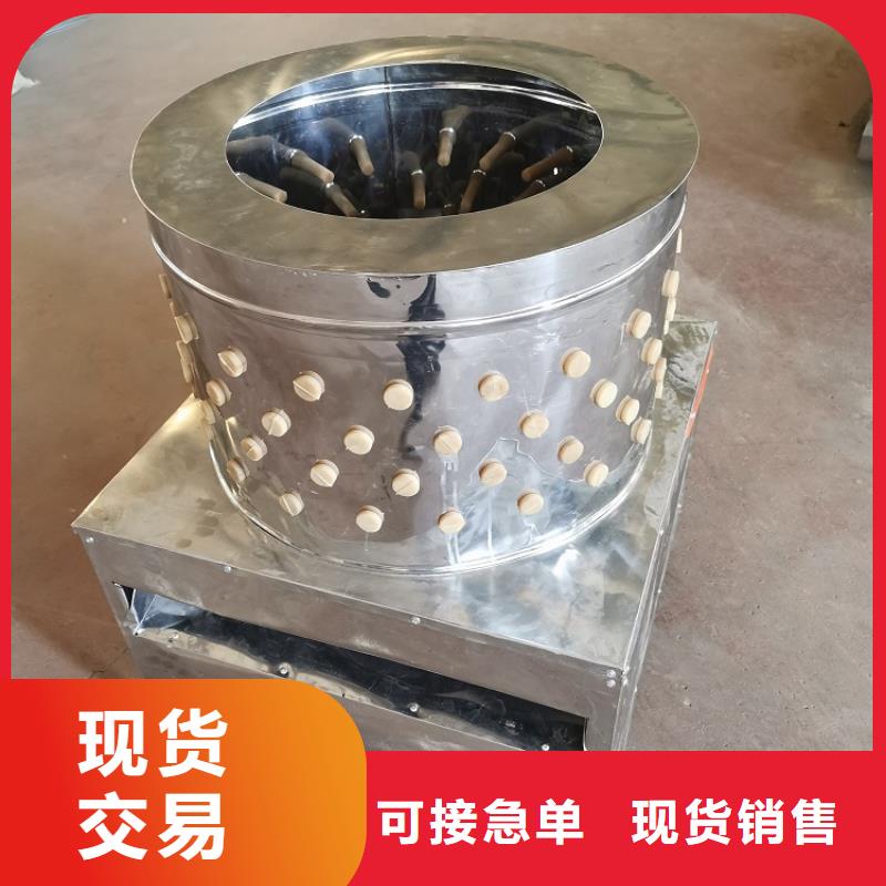 款的全自动鸡鸭脱毛机多重优惠厂家