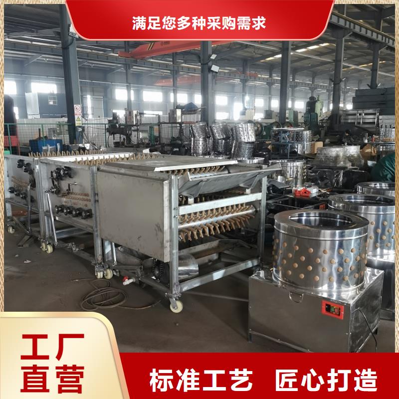 小型家用鸡鸭鹅脱毛机厂家直销厂家