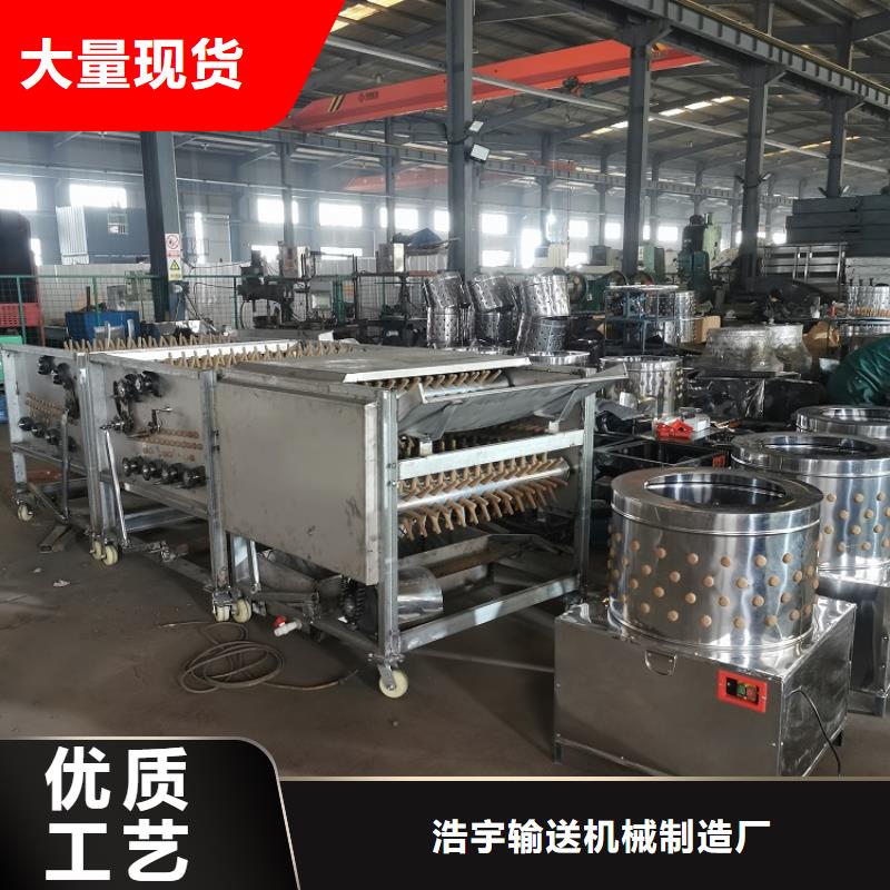 鸽子脱毛机视频正规厂家厂家