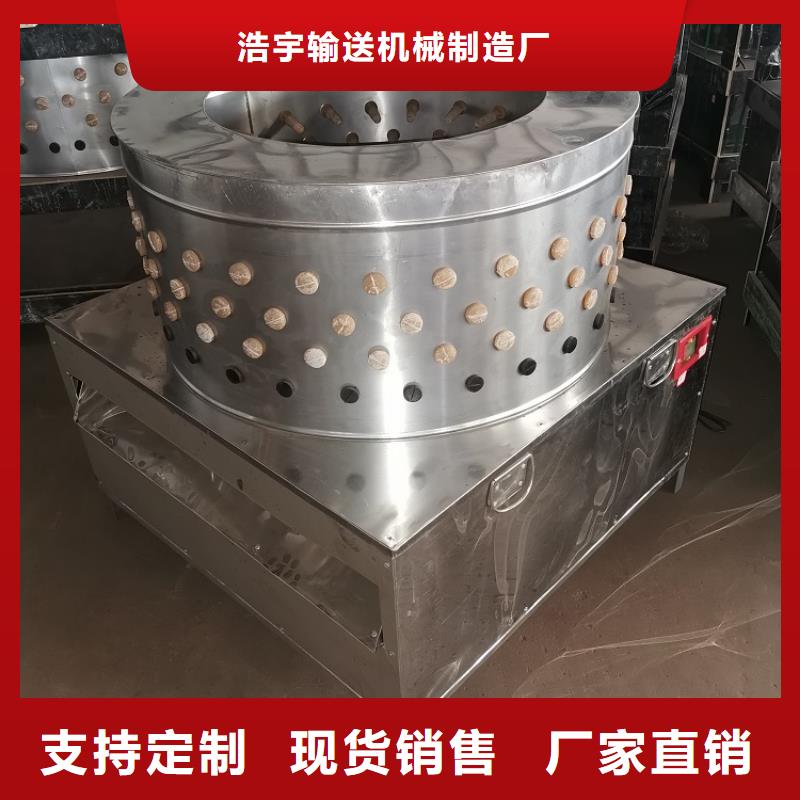 小型家用鸡鸭鹅脱毛机厂家直销厂家