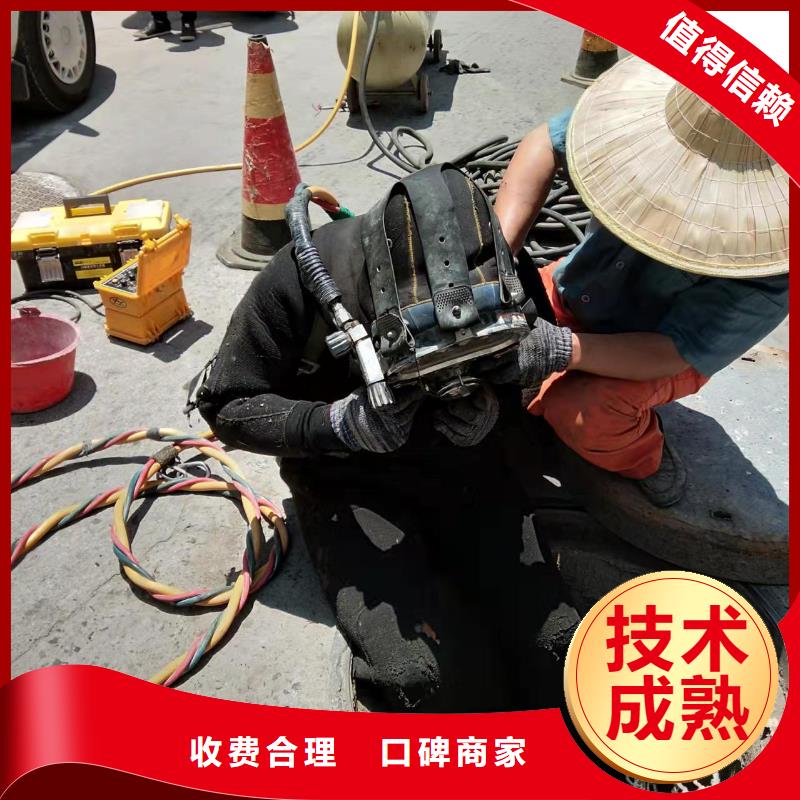 水下闸门检修公司-本地就有潜水队