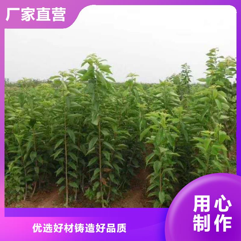 樱桃奶油草莓让利客户