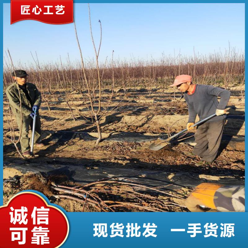 樱桃奶油草莓让利客户