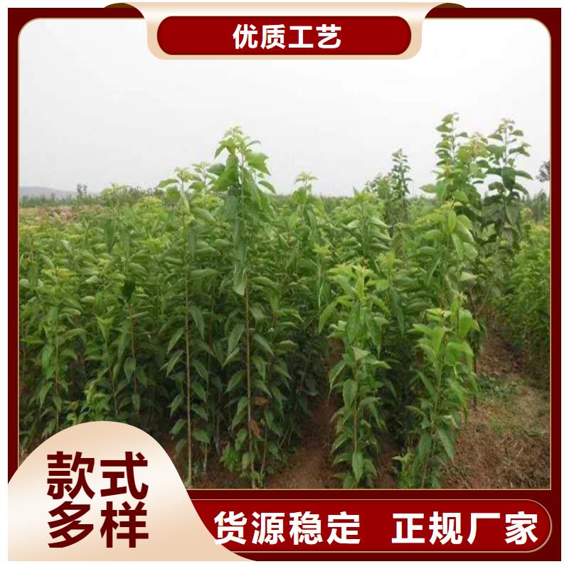 樱桃奶油草莓让利客户