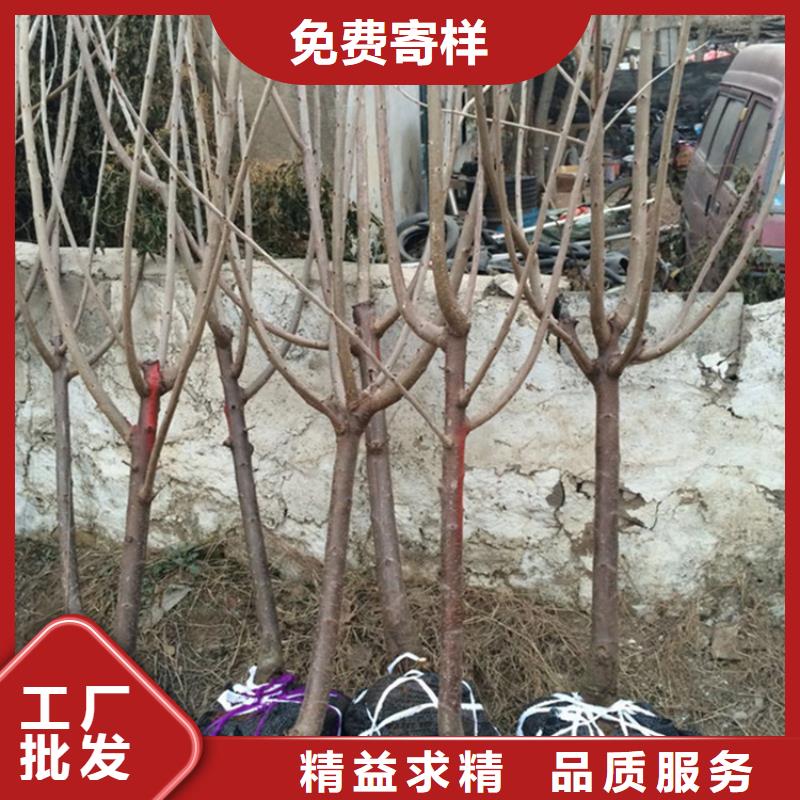 樱桃奶油草莓让利客户