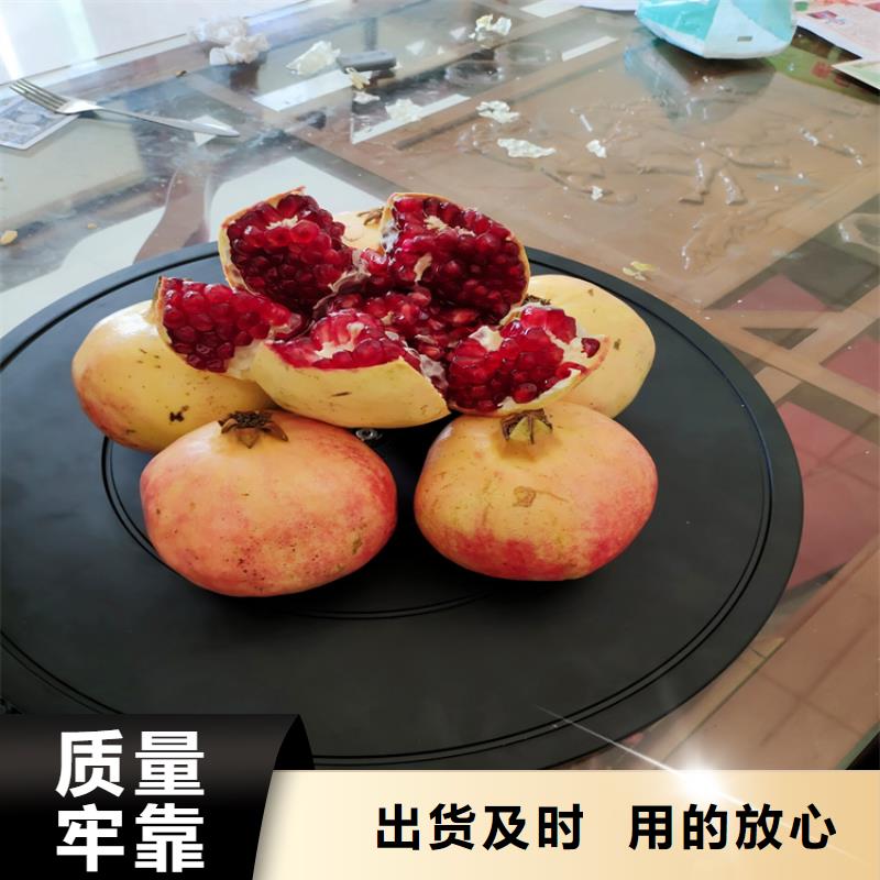 甜籽石榴树苗量多优惠