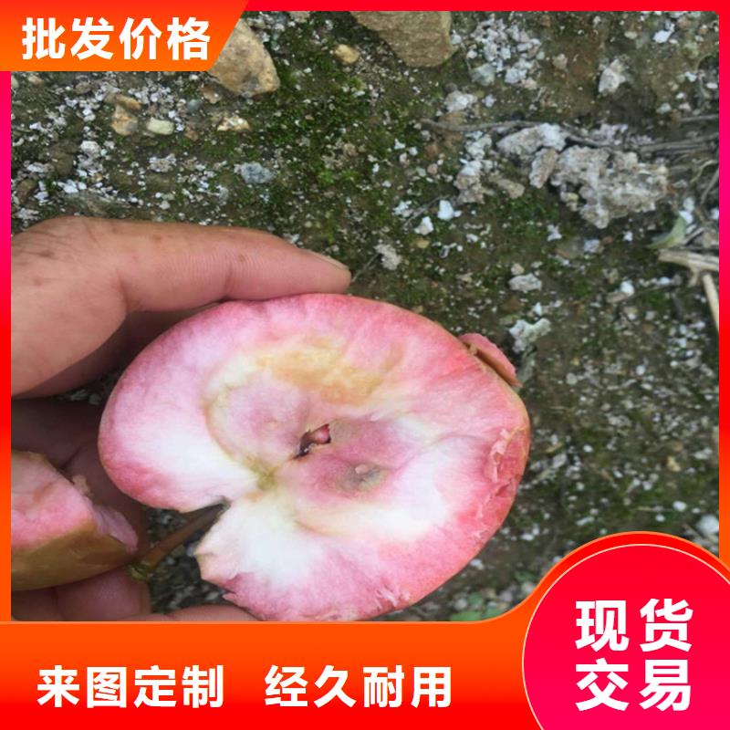 【苹果黄瓜苗让客户买的放心】