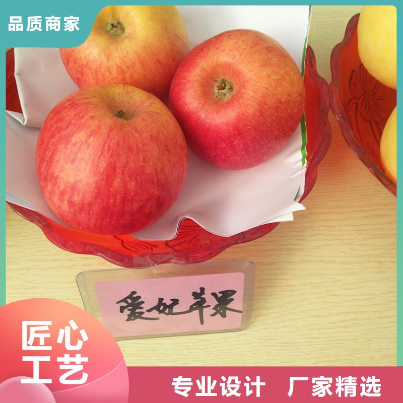 苹果-李树苗货源直销