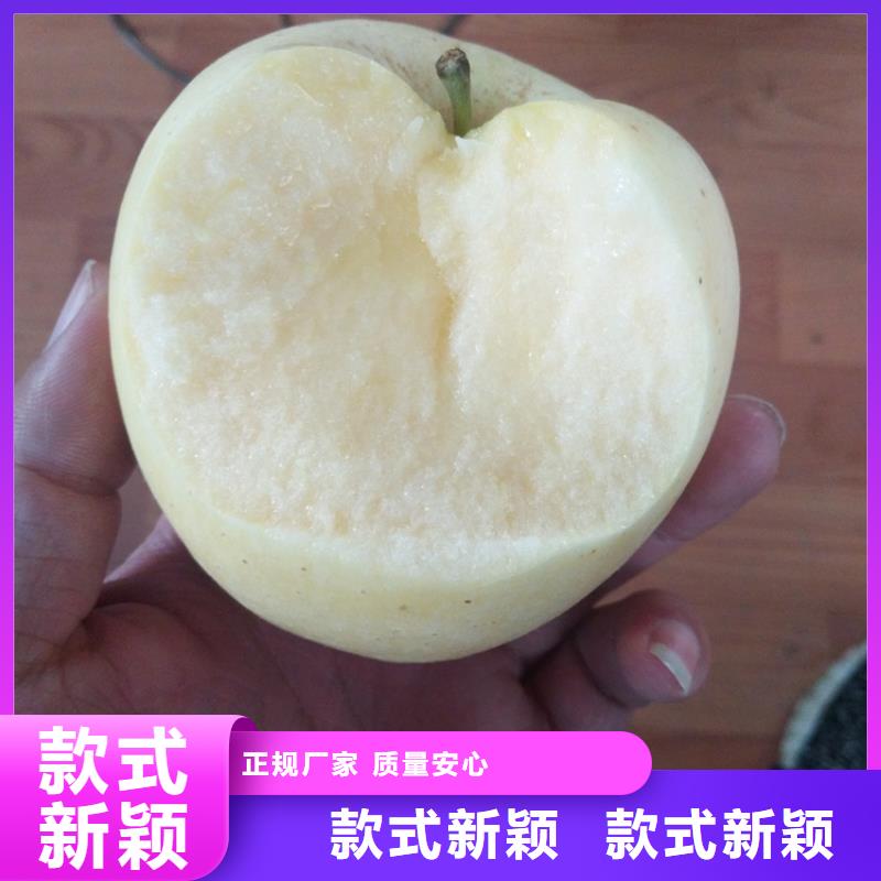 【苹果樱桃苗准时交付】
