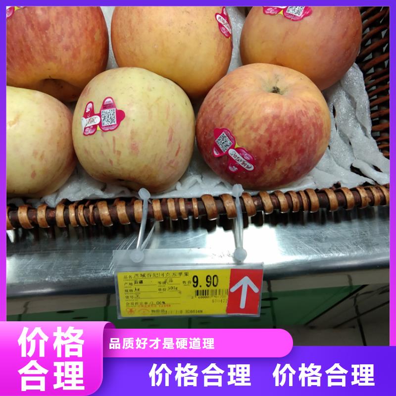 苹果无花果苗让利客户