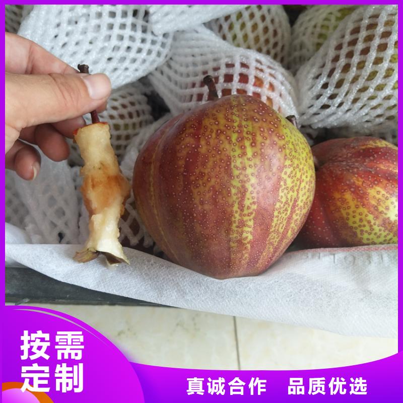 红梨苗适合种植地区