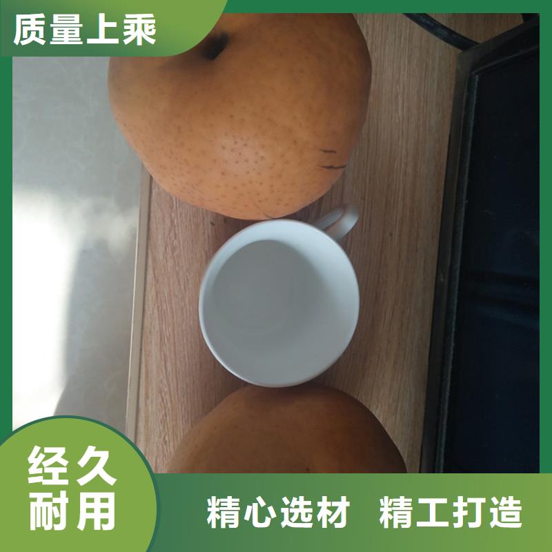 【梨树樱桃苗制造厂家】