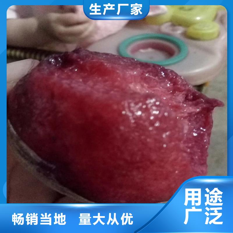 【桃】苹果苗精工制作