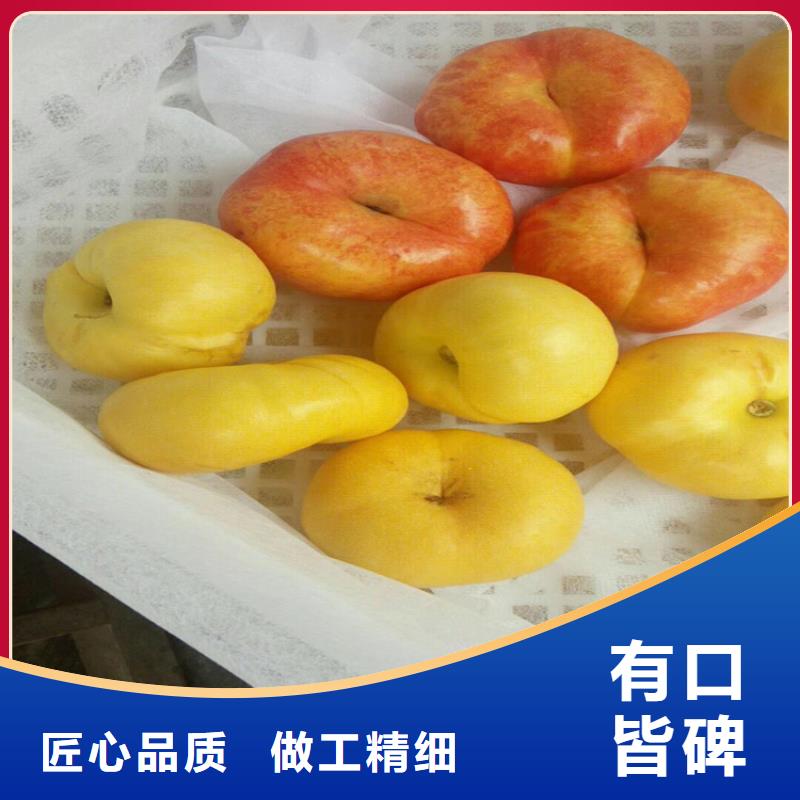 桃李树苗快捷的物流配送