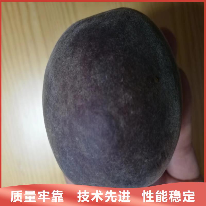新品种桃树苗现挖苗现发货