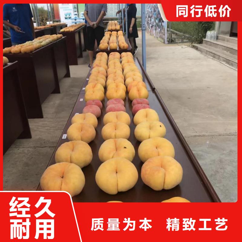桃【猕猴桃苗】助您降低采购成本