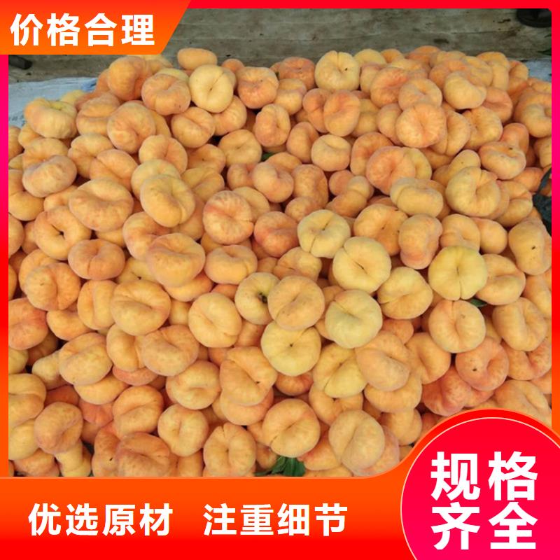 桃【石榴树】精挑细选好货