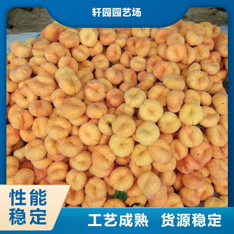 桃【石榴树】精挑细选好货