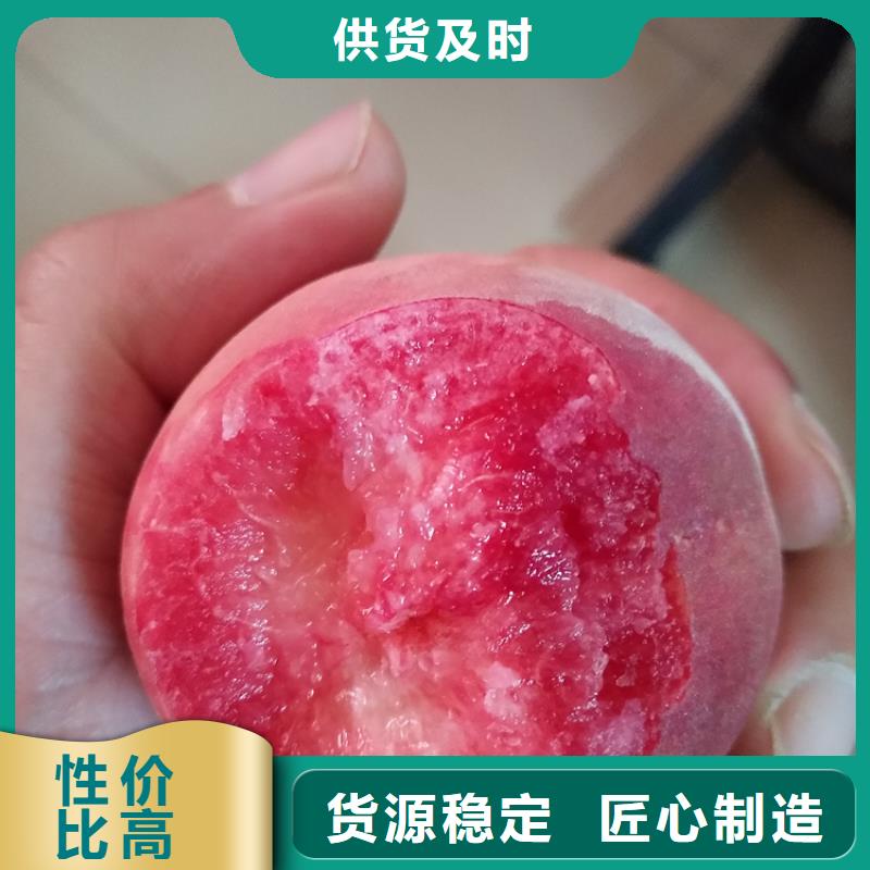 桃苹果苗厂家直销规格多样