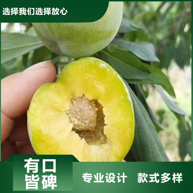 西梅李子苗一亩地栽多少棵