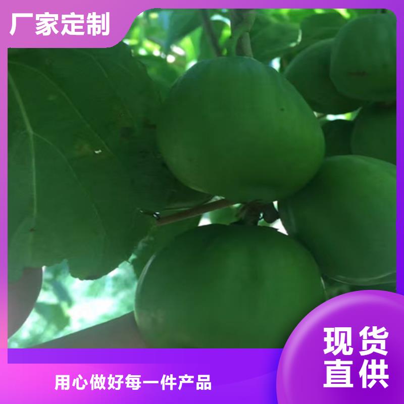 猕猴桃梨树苗售后服务完善