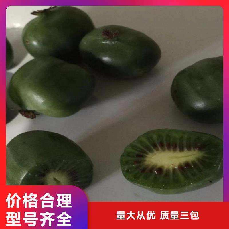 猕猴桃,【桃树苗】供货及时