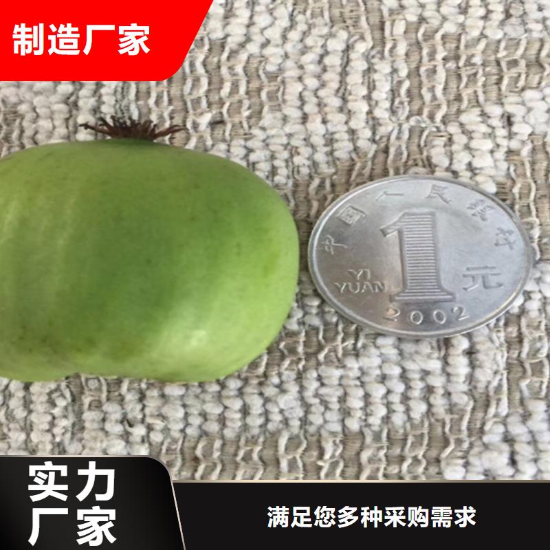 猕猴桃_石榴树欢迎来电询价