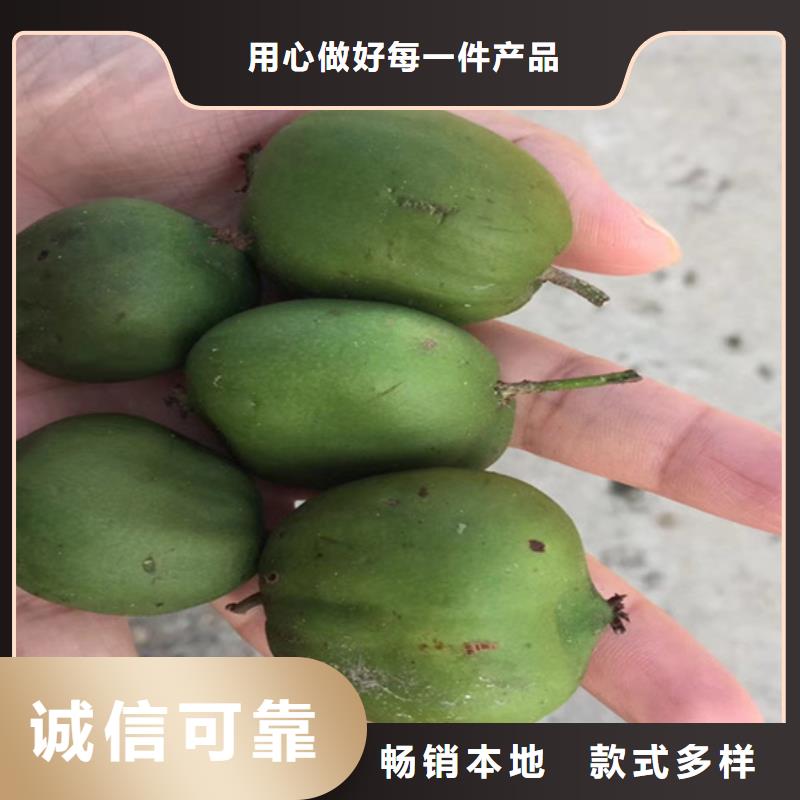 猕猴桃_石榴树欢迎来电询价