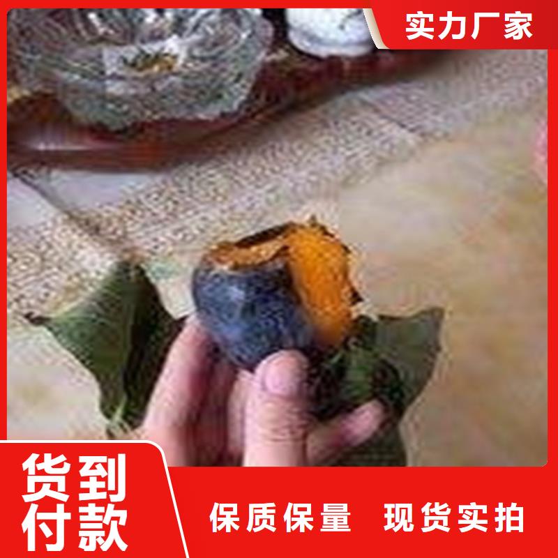 【柿子樱桃苗价格实惠工厂直供】