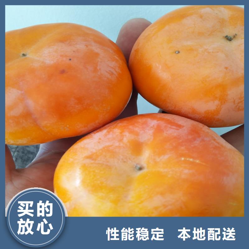 柿子【花椒苗】源头实体厂商