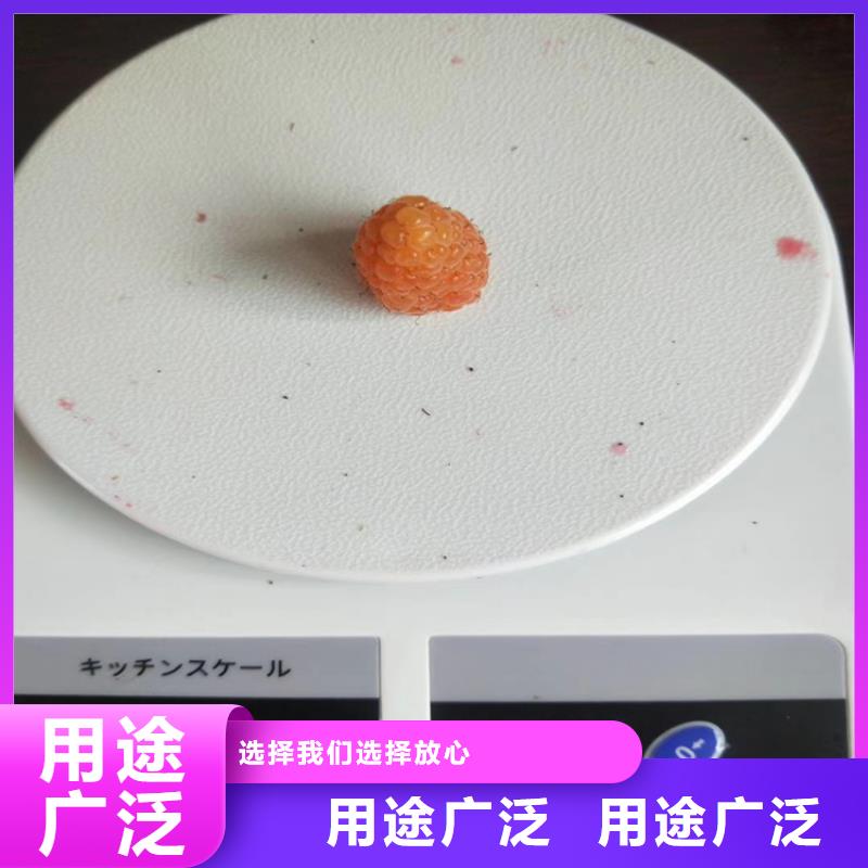 双季黑树莓苗多少钱一棵