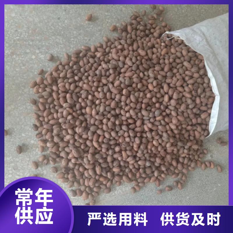碧根果,樱桃苗高品质诚信厂家