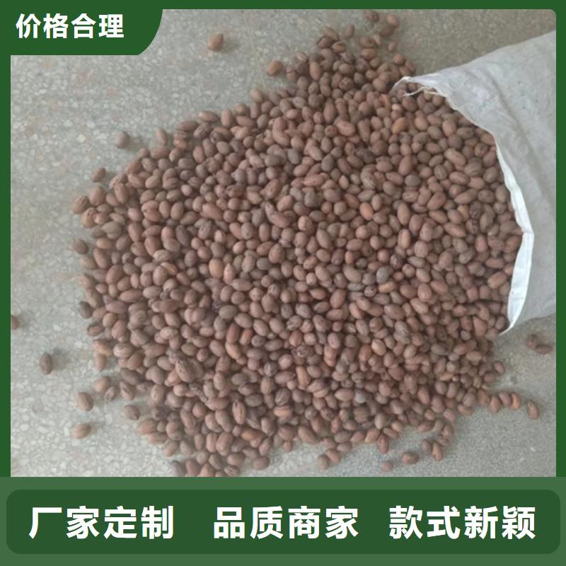 碧根果苹果苗厂家十分靠谱