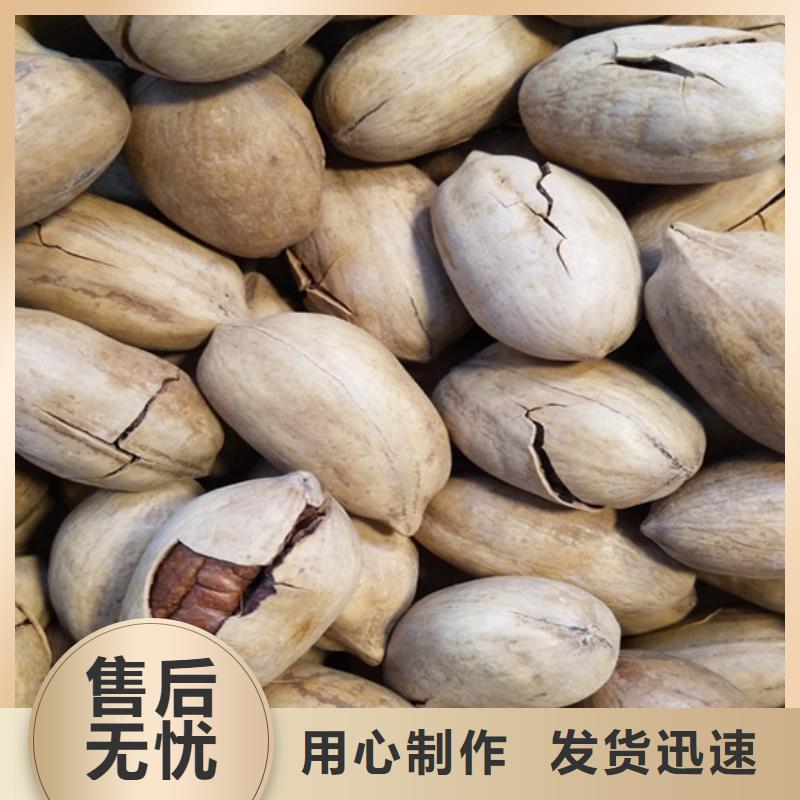 碧根果李子苗专注品质