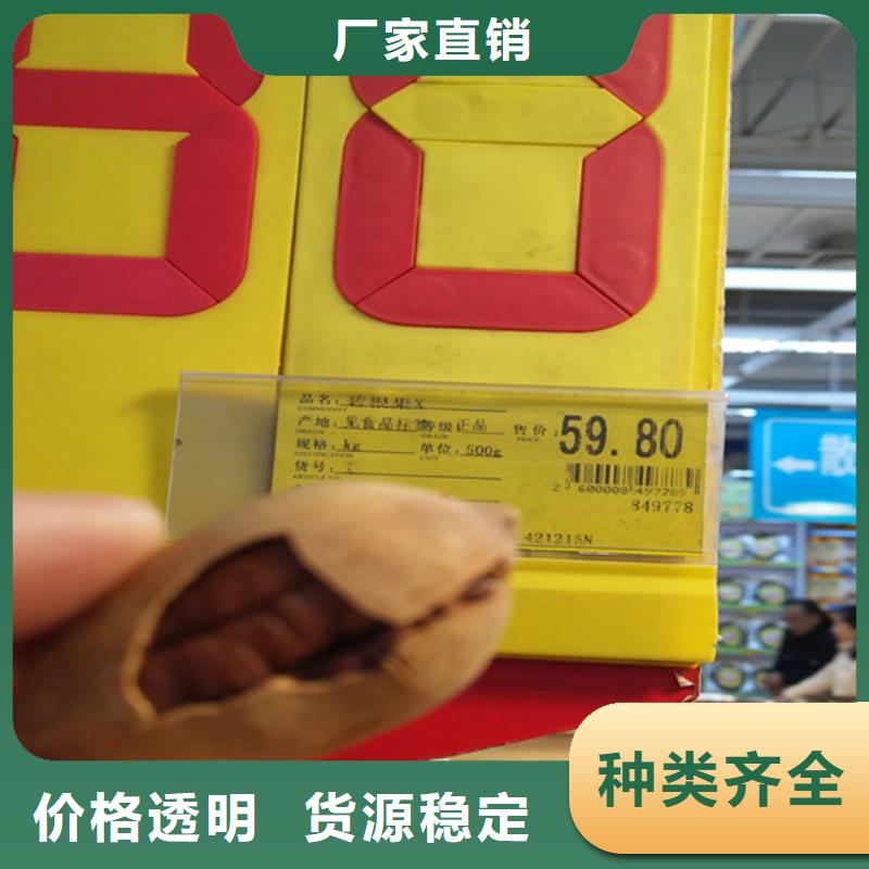 碧根果-苹果苗工厂采购