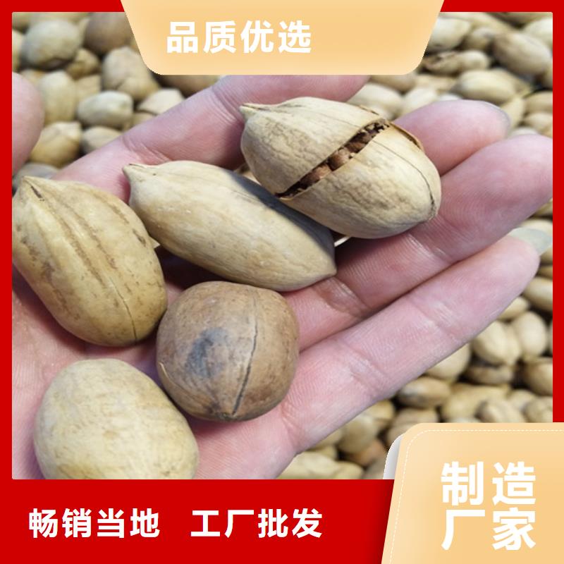 碧根果樱桃苗工艺精细质保长久