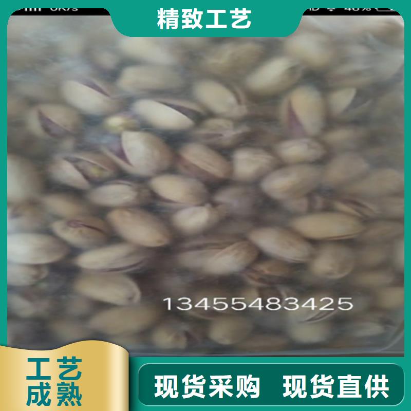 阿月浑子树苗经济效益