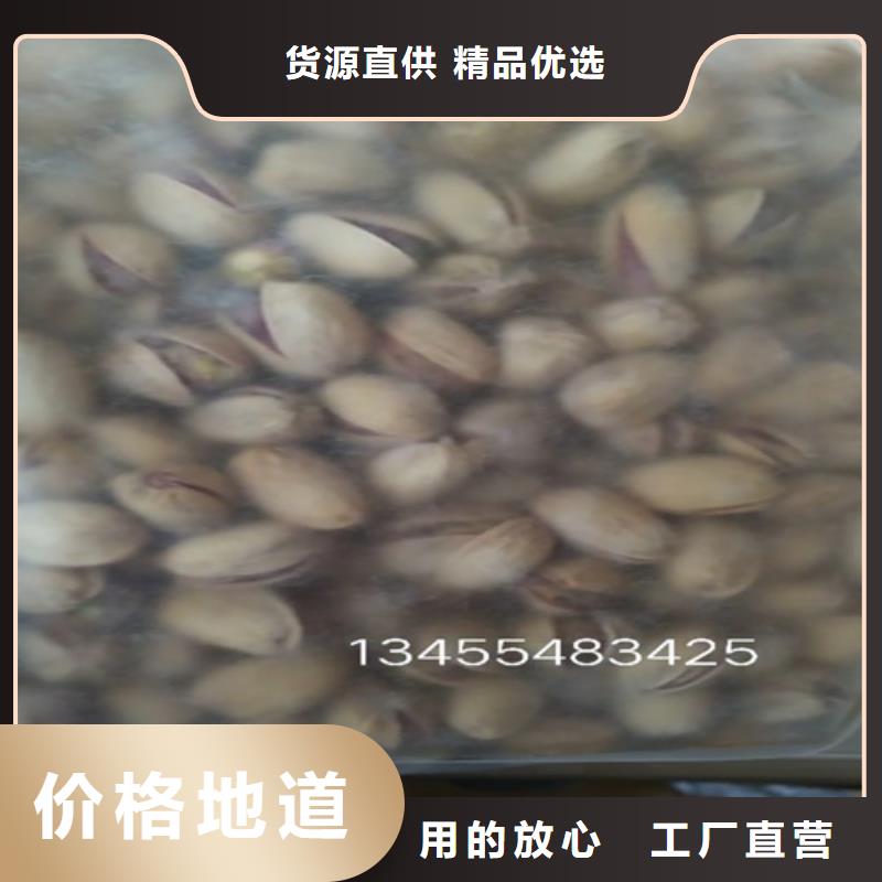开心果树种植基地