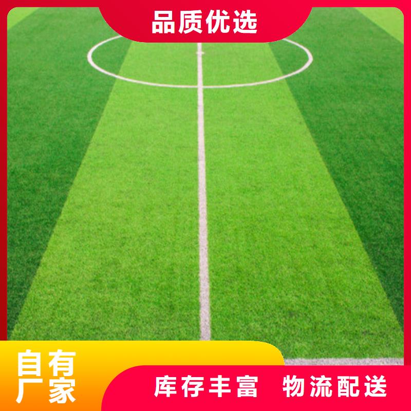 发货速度快的幼儿园仿真草坪供货商