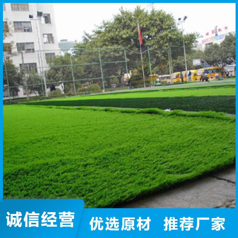 可信赖的围挡草坪厂家