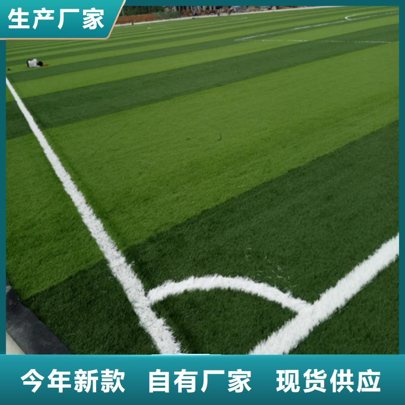 足球场人造草坪价格低