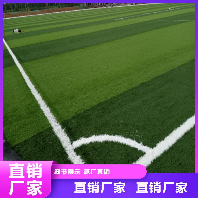 北塘区绿草地人造草坪来电咨询