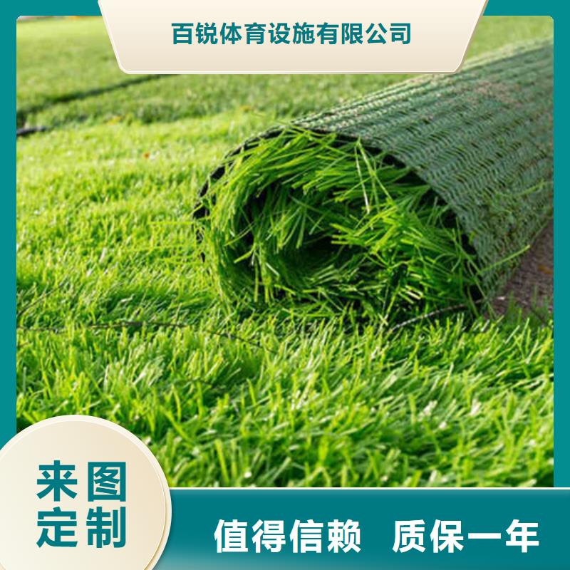 幼儿园仿真草坪批发价格