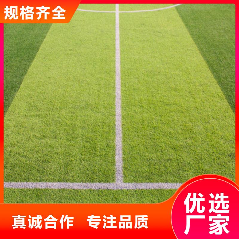 冷水滩县围挡草坪