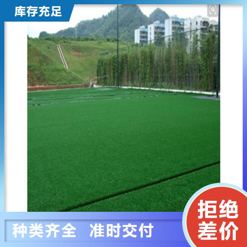 南陵县编织人造草坪