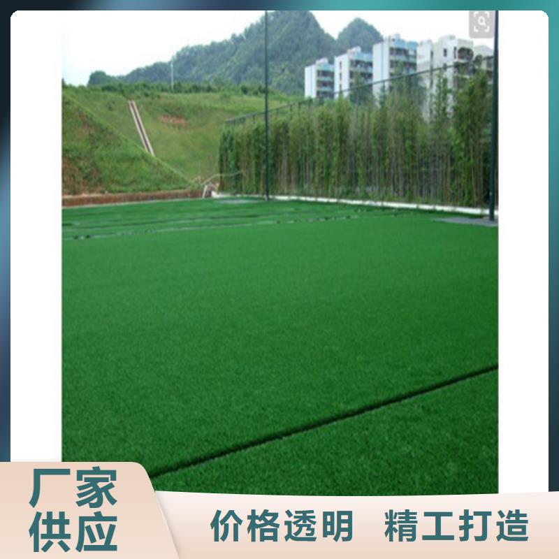 球场人造草坪随时询价