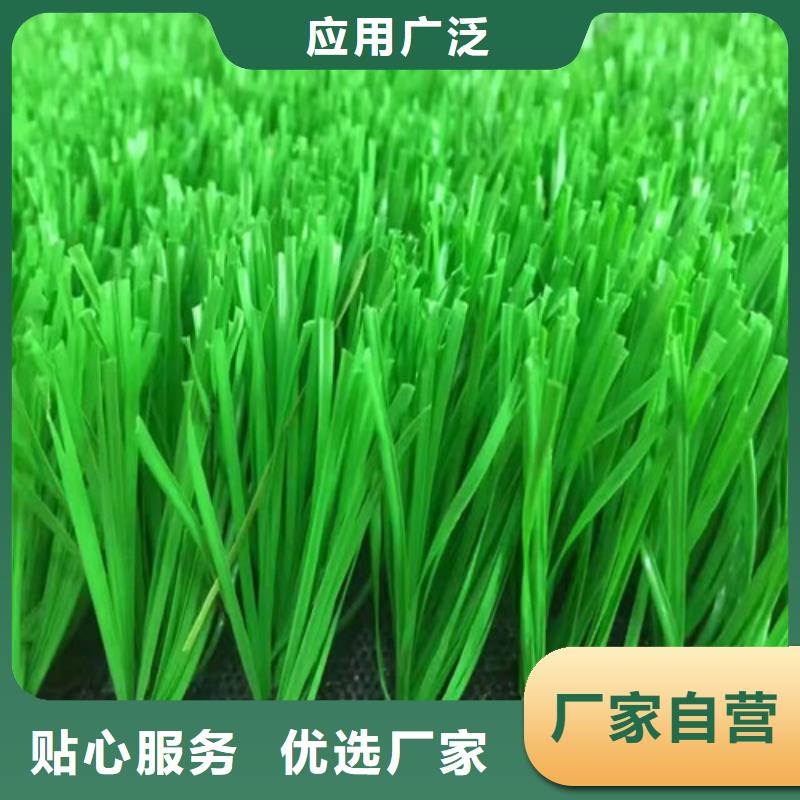 鸠江区注塑人造草坪质量优